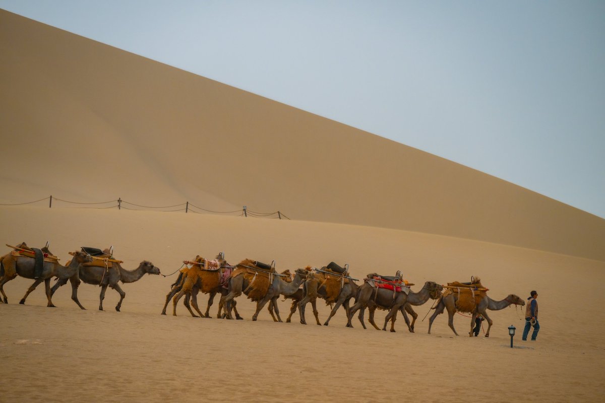 DunhuangAcademy's tweet image. Photoshop magic? Nope — just #Dunhuang’s Mingsha (Singing Sand) Mountain crooning under the sun, and the oasis of Yueyaquan (Crescent Lake) glowing like a sapphire. Nature’s own masterpiece! 🏜️🌊💎
#DunhuangScenery @This_is_Gansu @ExploreGansu @discover_gansu @HiDunhuang