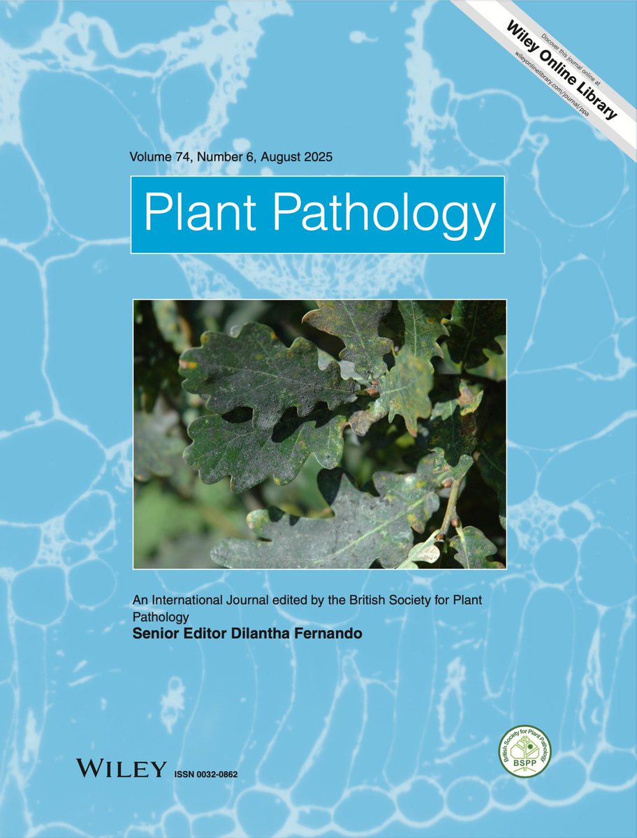 BSPPjournals's tweet image. New issue online now! So, the cover says August but it&apos;s already packed full of goodies at the start of July, so happy reading, folks!
bsppjournals.onlinelibrary.wiley.com/toc/13653059/c…