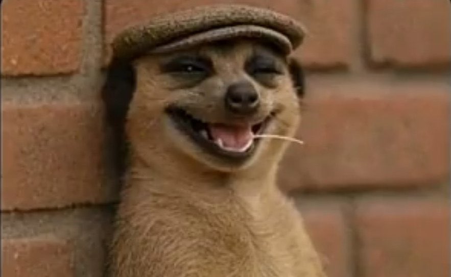 pharmH48's tweet photo. ASSU Begins Nationwide strike .Meanwhile 
Private universities students 👇 https://t.co/T1XdDdaz6K