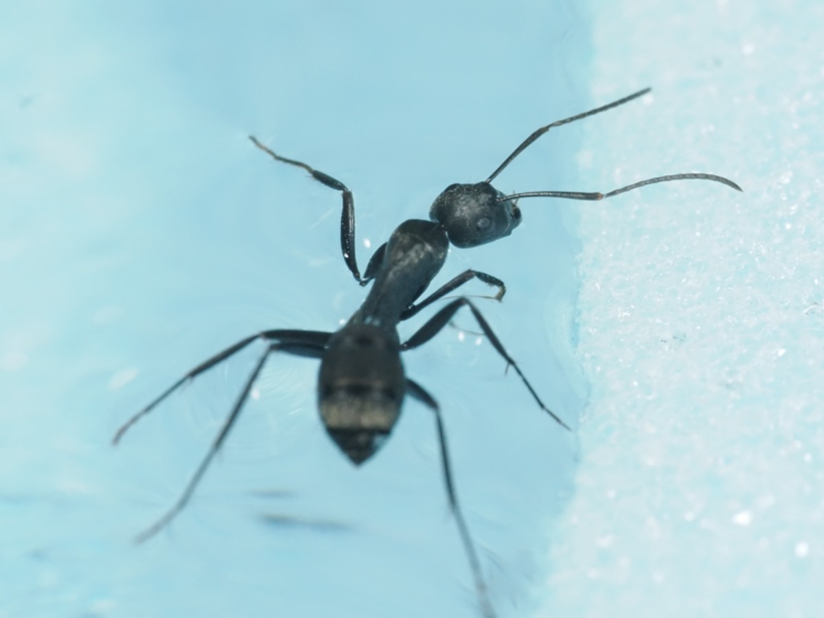 Notomi Y tweet media