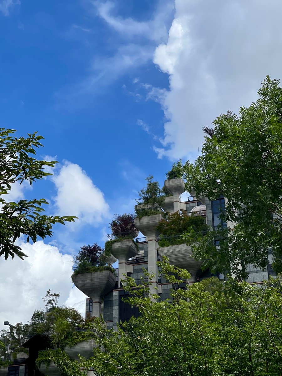 HELLO SHANGHAI 

#ONSshanghai