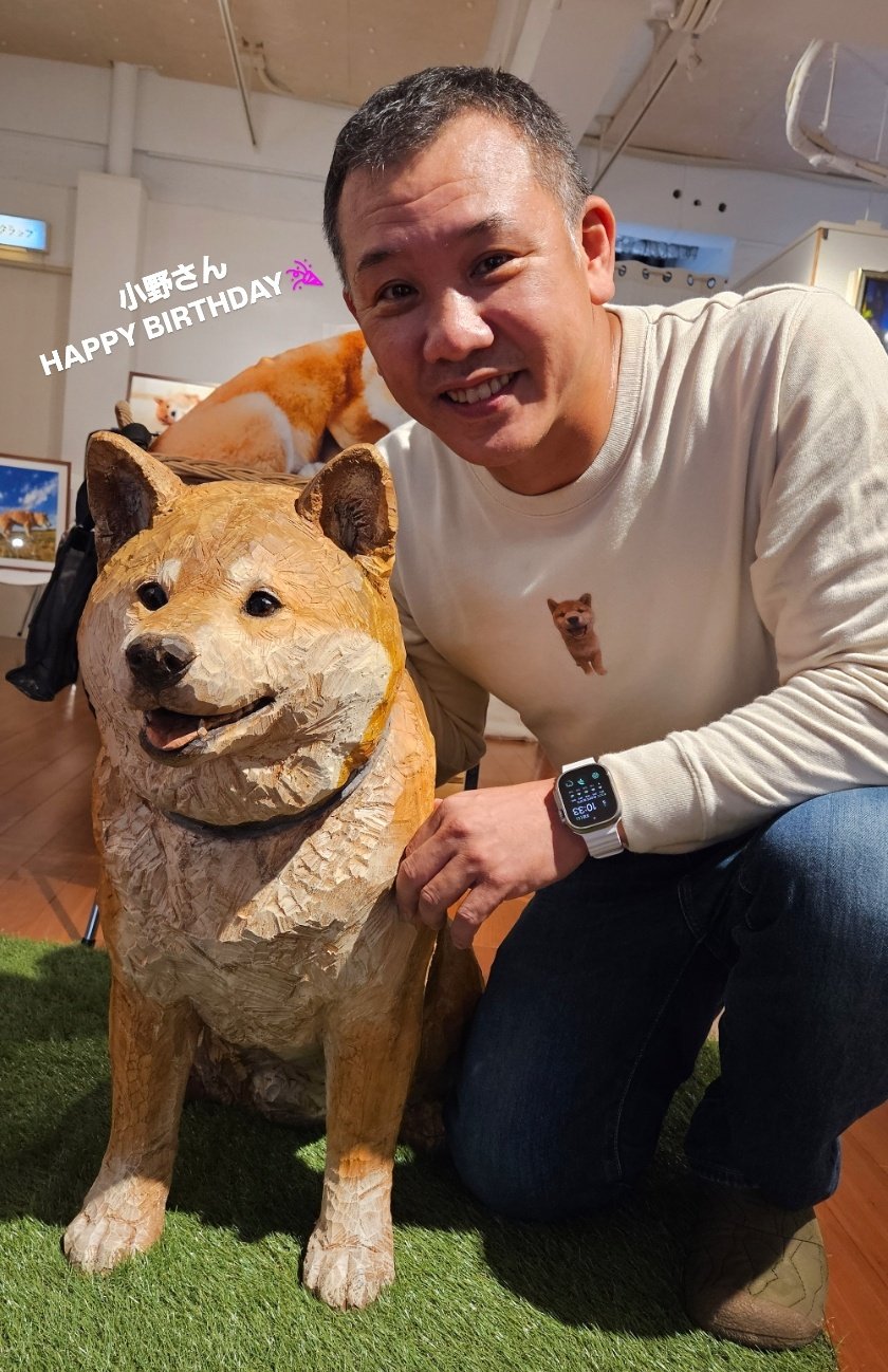 柴丸 柴犬まる | 小野 慎二郎 |本 | 通販 | Amazon