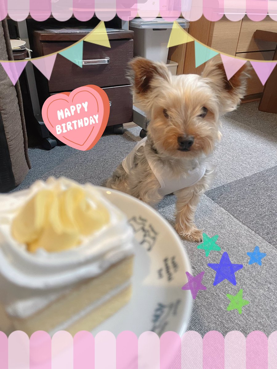 rechuya's tweet image. 🐶 5th HappyBirthDay 🎉