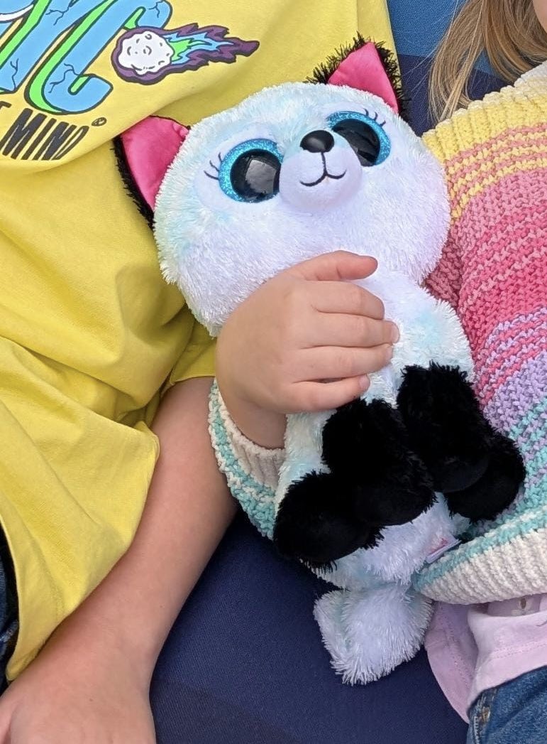 Eoin Barnes tweet media