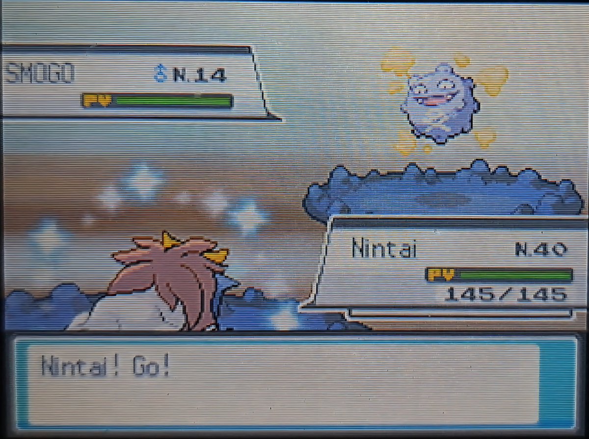 PikdumSH tweet media