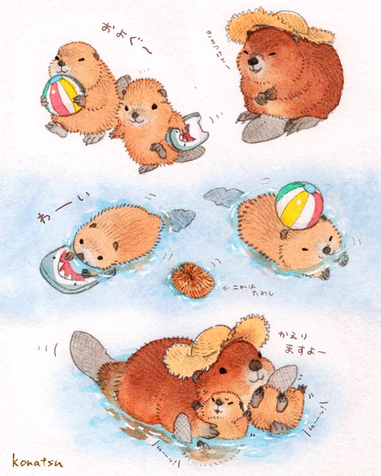 水遊びする子ビーバーちゃん