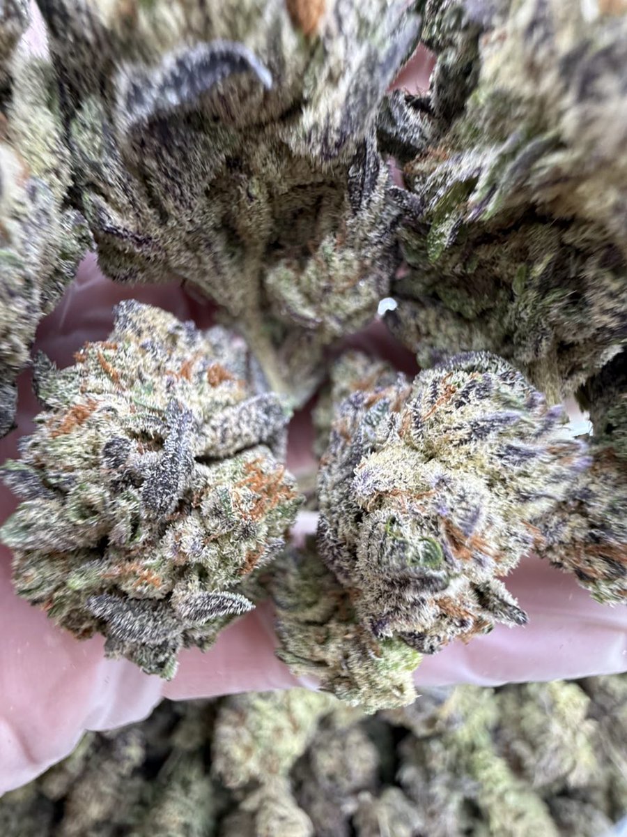 Smacking420's tweet image. Grandaddy AAA+1
License designer indoors 
Last 256 grams 
750$