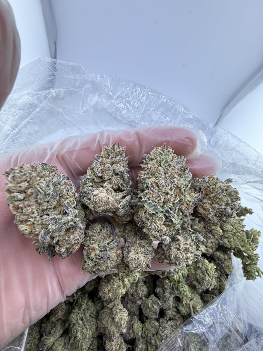 Smacking420's tweet image. Grandaddy AAA+1
License designer indoors 
Last 256 grams 
750$