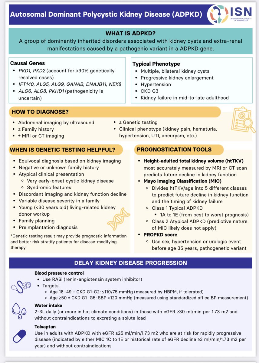 m_furlano's tweet image. 🧬Summary of #ADPKD #PQRAD #GTERH
#poliquistosisrenal
theisn.org/wp-content/upl…
@ISNkidneycare @SENefrologia @nefrocat