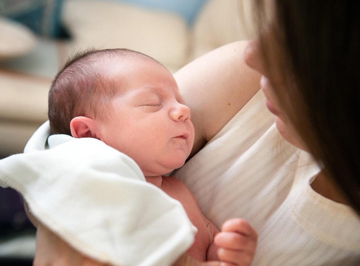 LaChambreBE's tweet image. En com #Santé: audition sur la problématique des donneurs en médecine reproductive de Arne Vanhie #KULeuven et Dominiek Stoop Belgian Society For Reproductive Medicine
Live ▶️ tinyurl.com/yeyprsu7