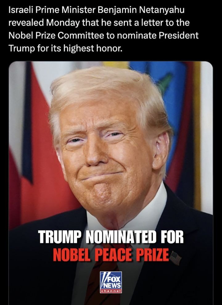 Miss Chief 🤨 tweet media