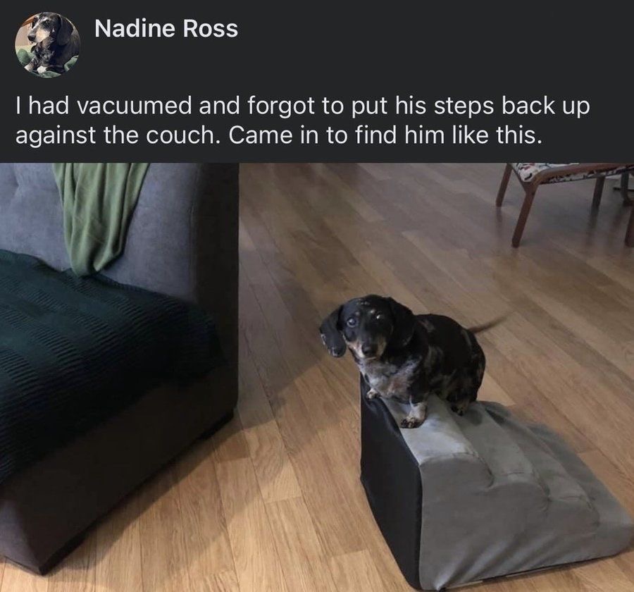 Images AI Could Never Recreate (@imagesaicouldnt) on Twitter photo 