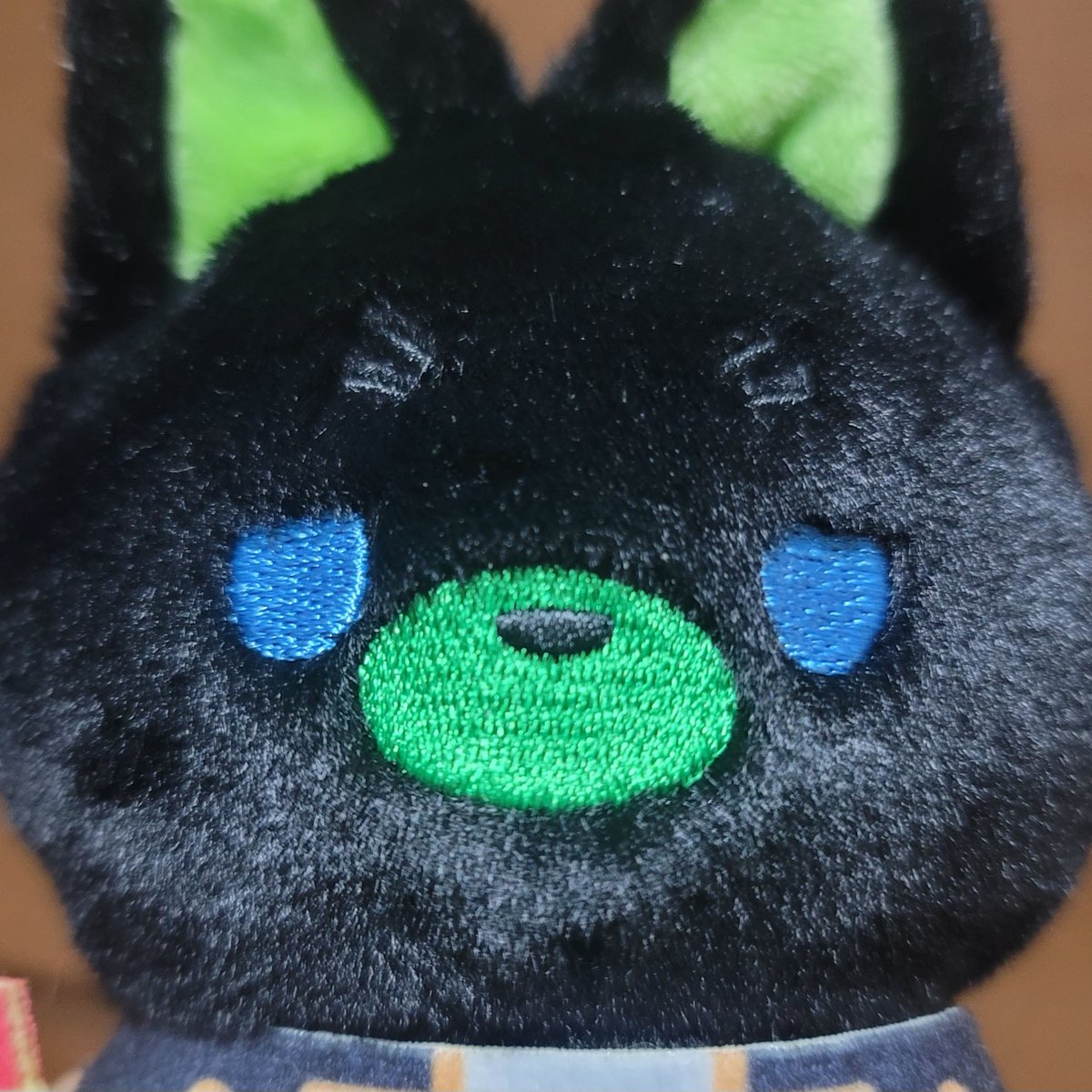 미니모후가 드디어 왔어요🥹🥹
너무너무 귀여워서 만지작만지작,,,

빤히..                                 빤히..
                    빤히..