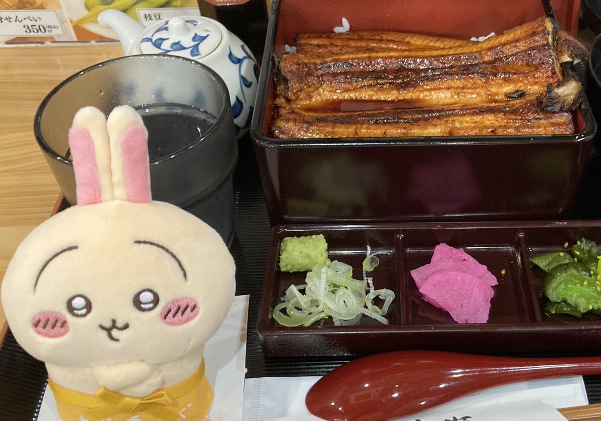 鰻食べて元気出すヤハ