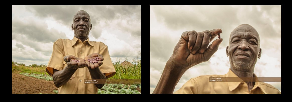 infoNILE's tweet image. Farming Technique:
&quot;In the case of farming, a photo essay might begin with the initial phase of planting, capturing the early morning light as farmers sow seeds or tend to young plants.&quot; - Chris Kobel

#ClimateSmartAgriculture #Solutionjournalism