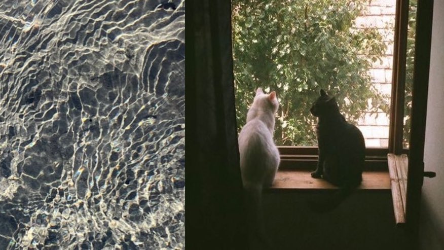 ︎ ⭐︎ tweet media