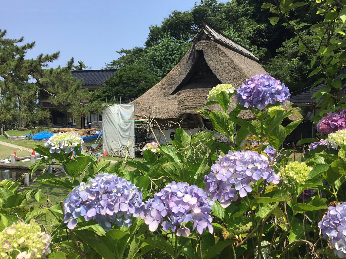 二代目 高橋竹山 Takahashi Chikuzan II (@heroyama8167) / X