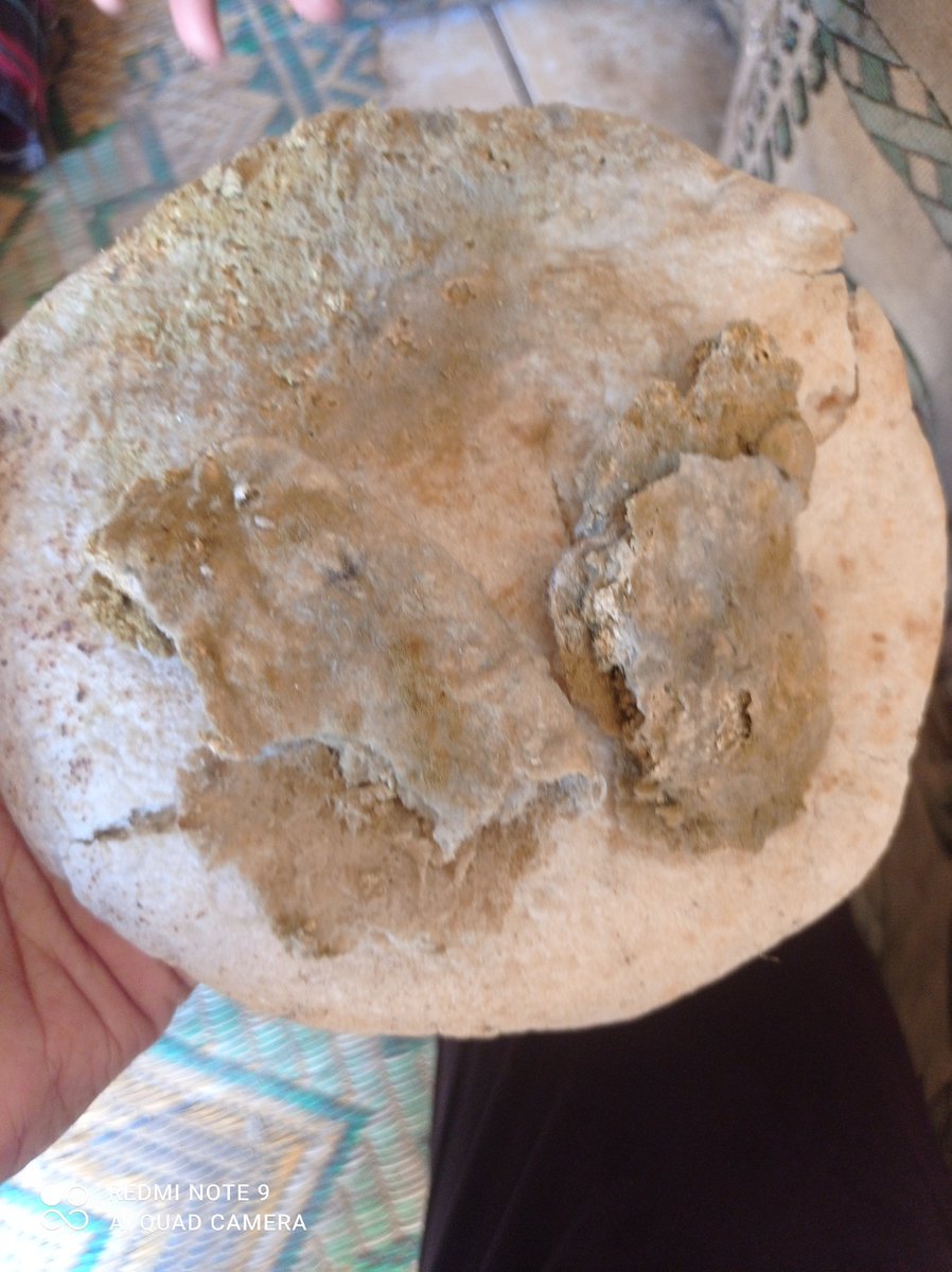 GazaIbn51701's tweet image. This is my children's breakfast: moldy bread and leaves. I hope you can help my little ones
💔🇵🇸😭😭. chuffed.org/project/137395…