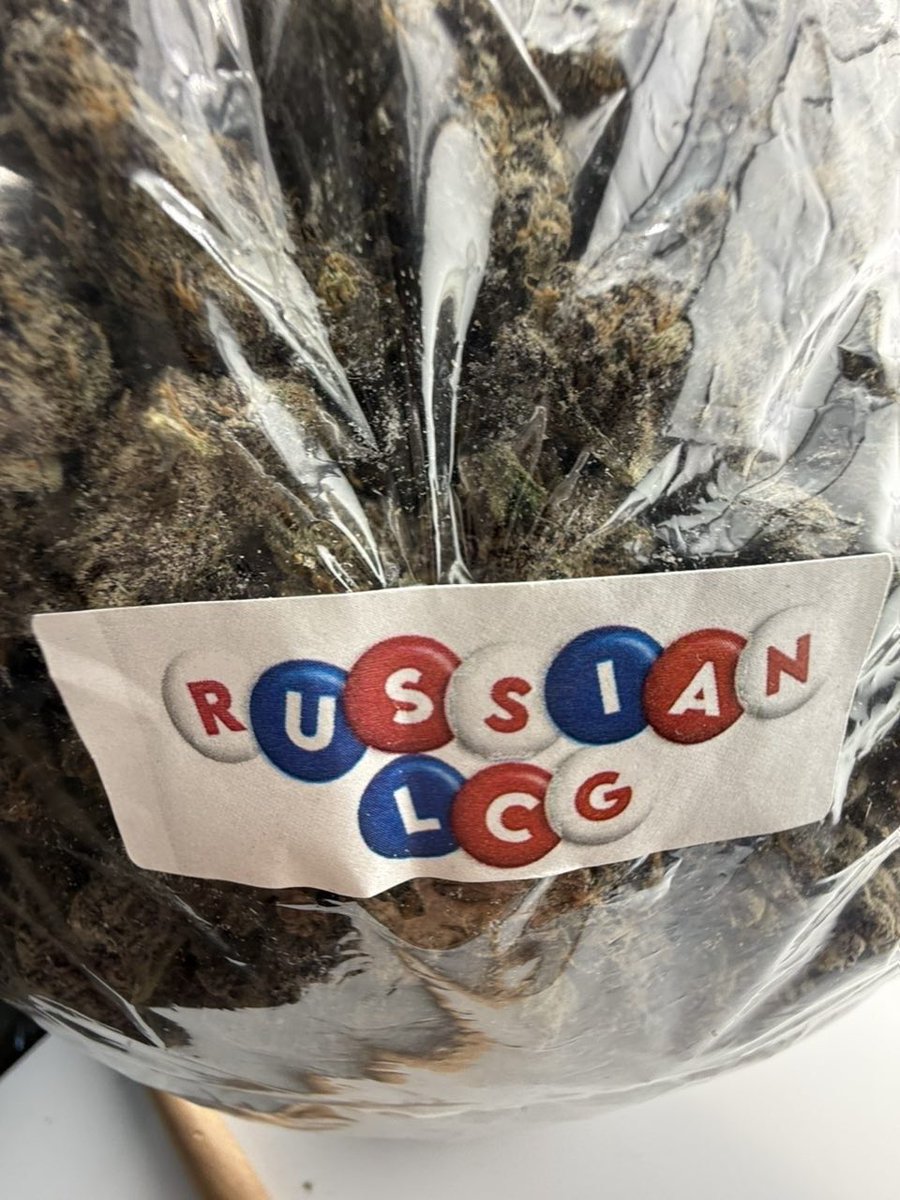 Smacking420's tweet image. Russian Lcg 
License designer indoors 
Last 256 grams 
750$