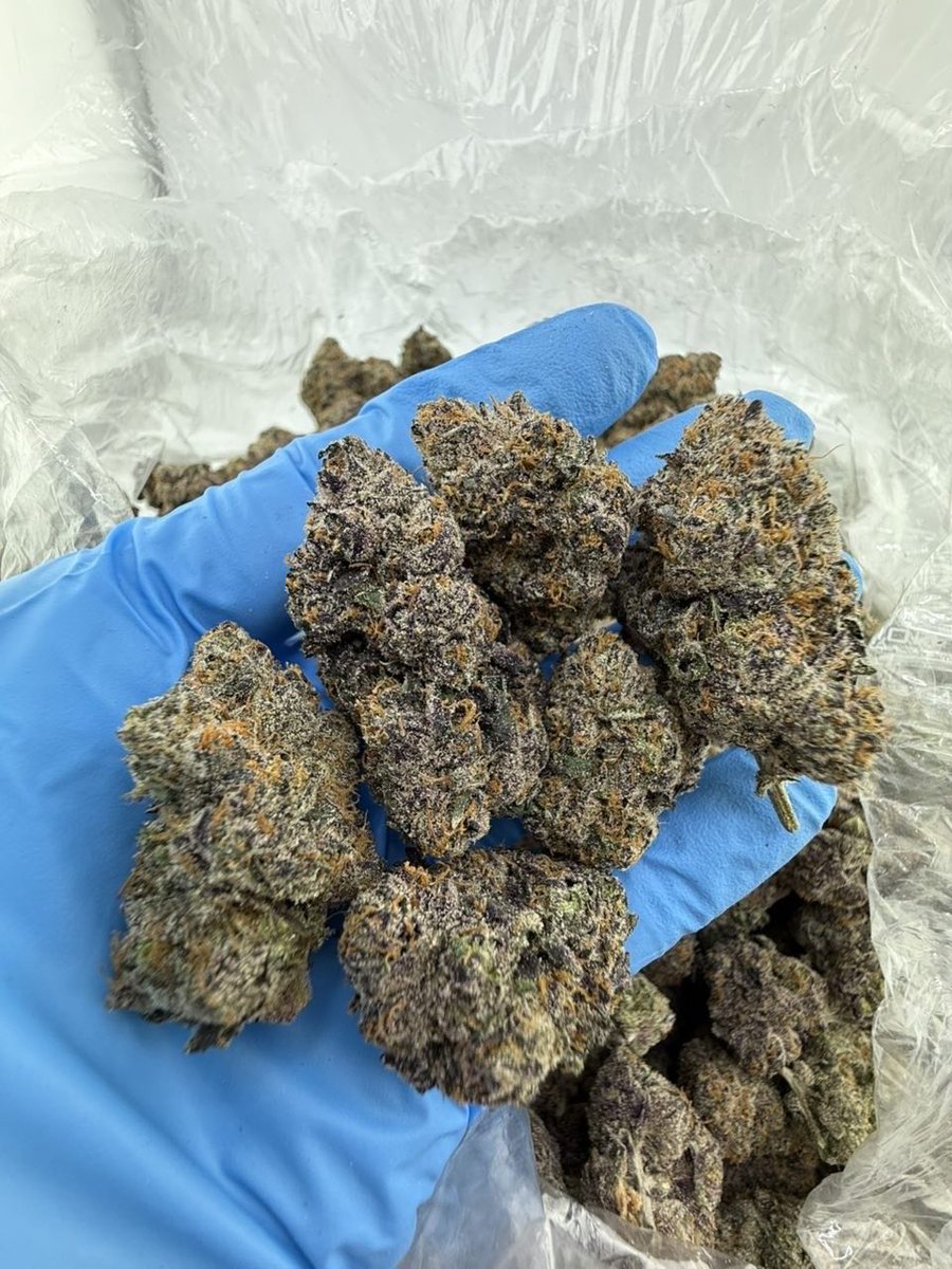 Smacking420's tweet image. Kandy 
License designer indoors 
Last 390 grams 
1150$