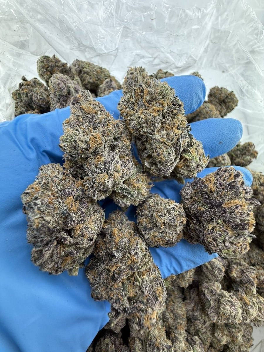 Smacking420's tweet image. Higashi 
License designer indoors
Last 88 grams 
270$