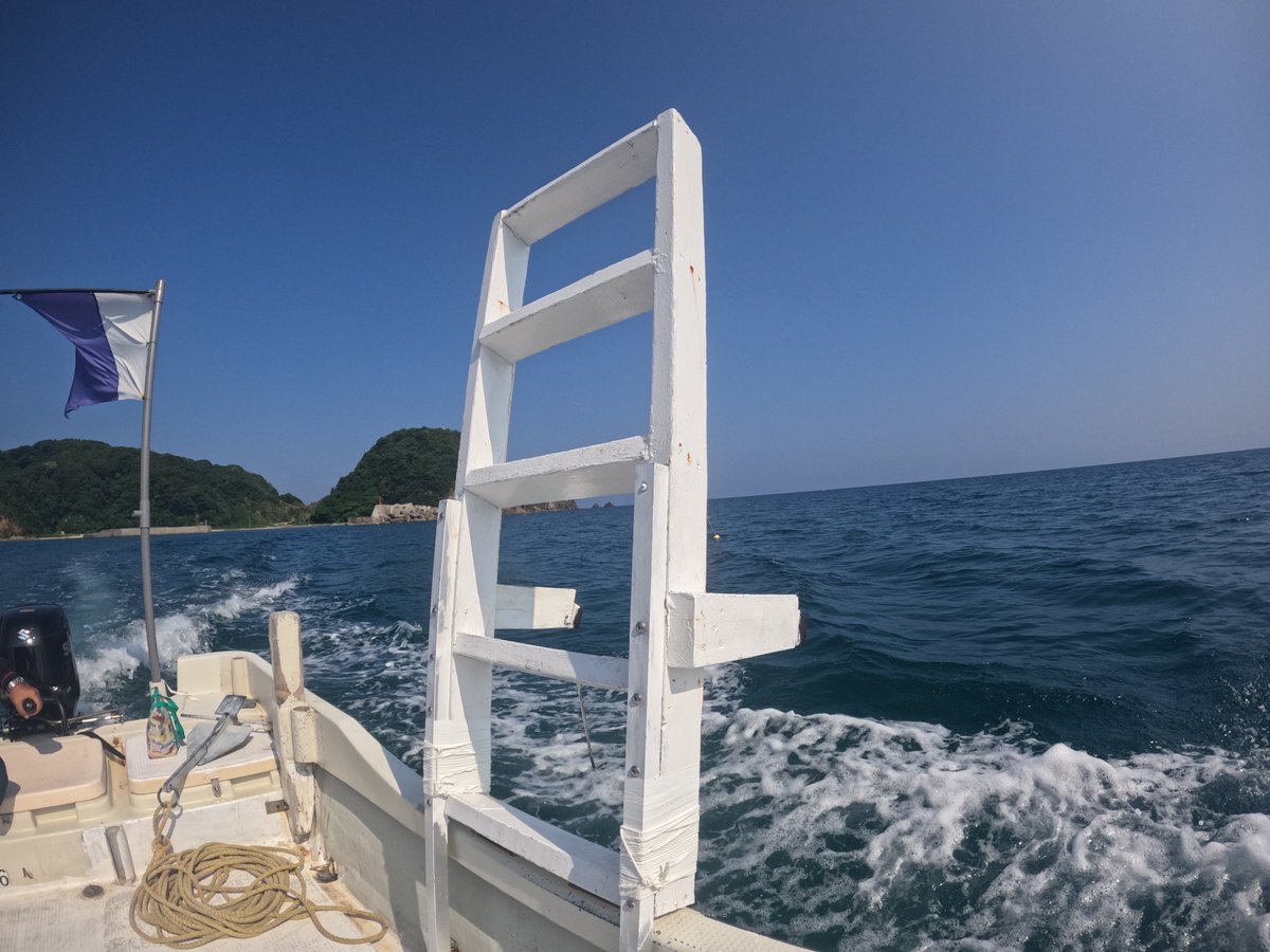 umizono's tweet image. 暑い日が続きます。
今日はファン3ボート!気持ちよく潜ってまいりました。
①高瀬 水温26.2度(水深17m)透視度10~12m
②竜神洞 水温26.4度(水深18m)透視度10~12m
③羽尾旧突堤沖側 水温27.2度(水深9m)透視度5~10m
陸が暑ければ暑いほど海中が気持いぃ~・・・って感じです。#鳥取 #岩美