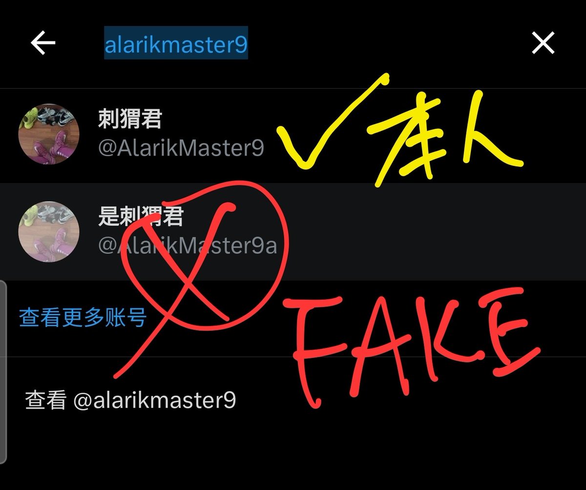 終於輪到俺這個小透明被假冒帳號啦🥹
（什麼錯誤的價值觀……
