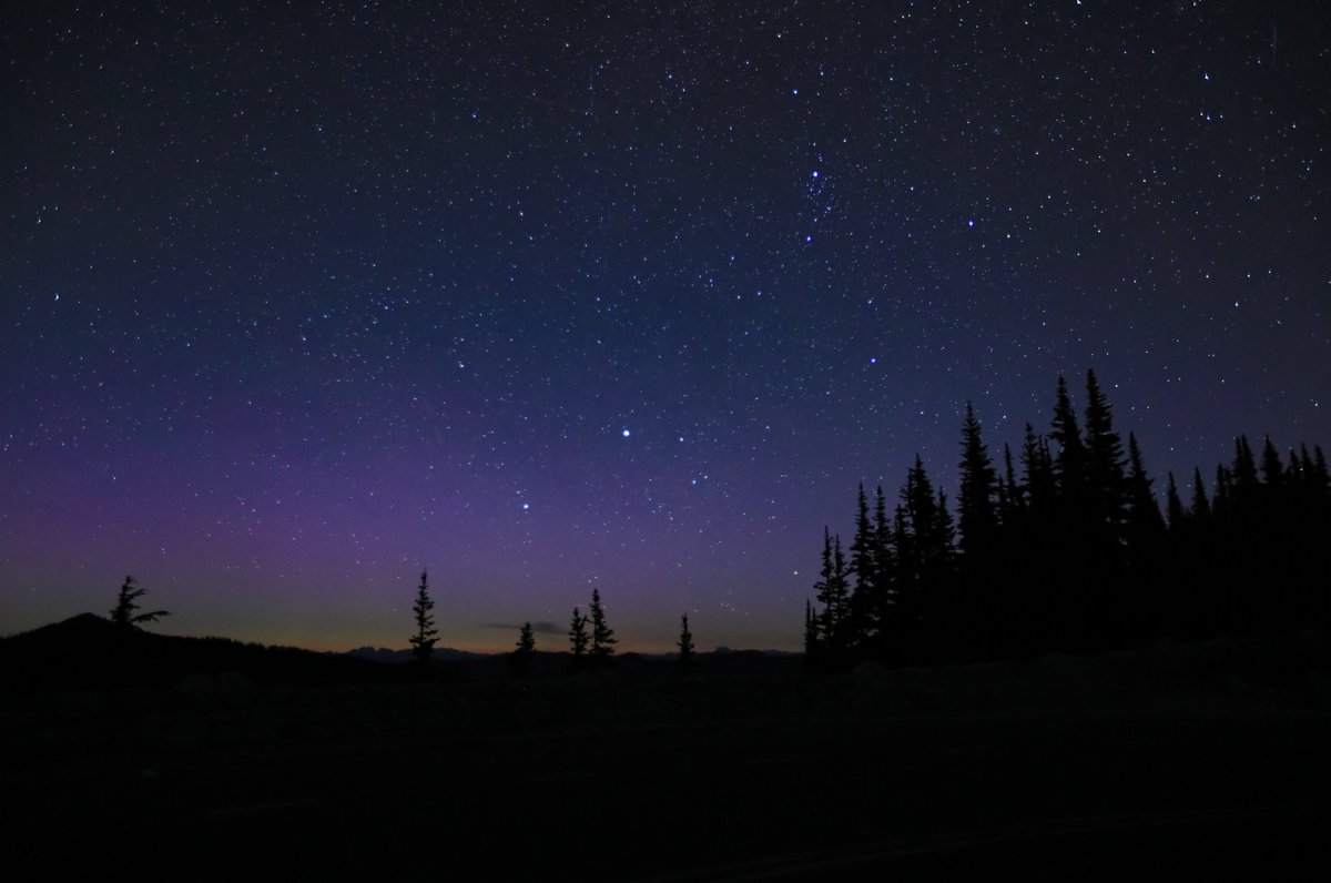 NoelBowman13's tweet image. 7/7/25 at Mt. RAINIER
A meteor with wimpy Aurora, the Milky Way ๐ with climbers on the mountain, and someone's headlights lit up the trees! Lol.
If climbing between 2-3:30am, you might be in this pic!
@TamithaSkov
@ShannonODKOMO
@komonews
#wawx
@MountRainierNPS