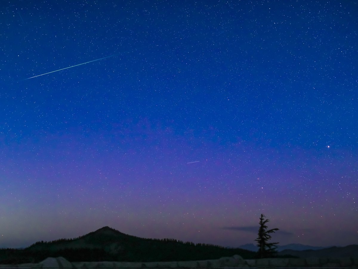 NoelBowman13's tweet image. 7/7/25 at Mt. RAINIER
A meteor with wimpy Aurora, the Milky Way ๐ with climbers on the mountain, and someone's headlights lit up the trees! Lol.
If climbing between 2-3:30am, you might be in this pic!
@TamithaSkov
@ShannonODKOMO
@komonews
#wawx
@MountRainierNPS