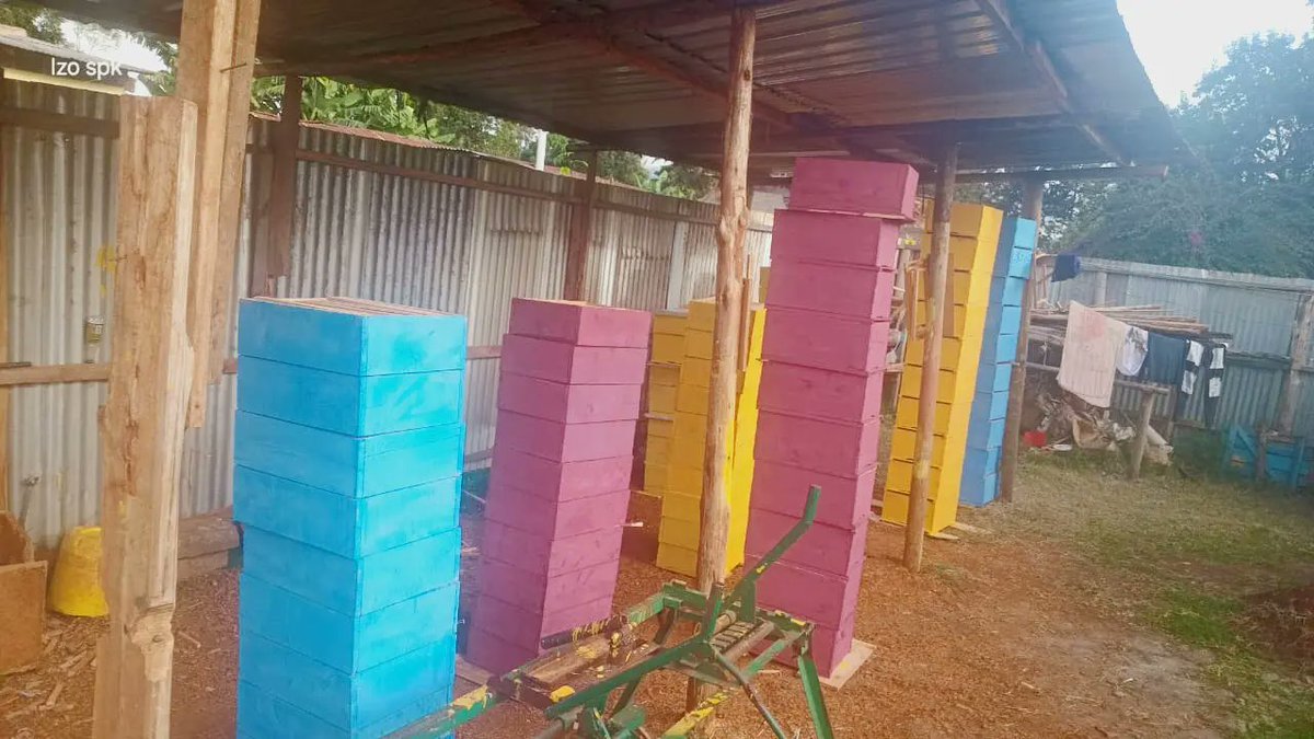 benard_kiruthu's tweet image. Affordable #Langstroth &amp;amp; #Kenya_Top_Bar Hives Suppliers. 

📞☎️📲 +254 703433155

Other Products Include
- Bee Venom Collectors 
- Bee Suits
- Smokers
- Honey Extractors 
- Honey Press
