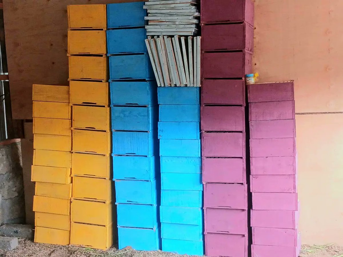 benard_kiruthu's tweet image. Affordable #Langstroth &amp;amp; #Kenya_Top_Bar Hives Suppliers. 

📞☎️📲 +254 703433155

Other Products Include
- Bee Venom Collectors 
- Bee Suits
- Smokers
- Honey Extractors 
- Honey Press