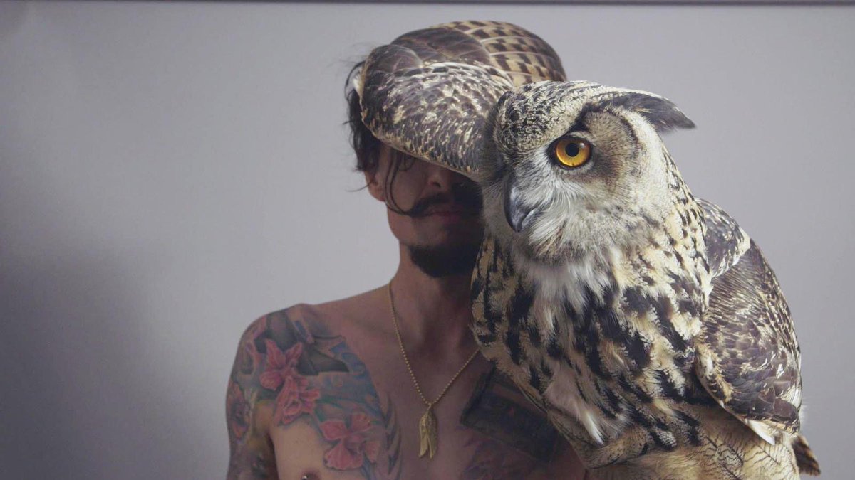 Edmiston House (@edmistonhouse) on Twitter photo 🆕 Justin Hawkins Rides Again... Again
Join <a href="/JustinHawkins/">Justin Hawkins</a> at Clyde Rooms!
📅 Friday 23 January 2026
🎟️ EH supporter pre-sale - Thur 10 July
🎟️ General sale - Fri 11 July
All the info: rng.rs/3TYY4Jv | 🆕 Justin Hawkins Rides Again... Again
Join <a href="/JustinHawkins/">Justin Hawkins</a> at Clyde Rooms!
📅 Friday 23 January 2026
🎟️ EH supporter pre-sale - Thur 10 July
🎟️ General sale - Fri 11 July
All the info: rng.rs/3TYY4Jv |