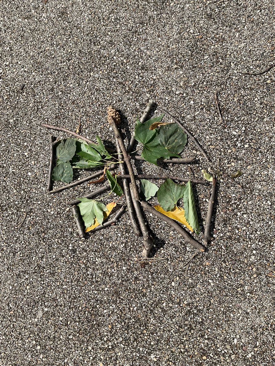 Year 2 had a great start to our Art Curriculum Week by creating transient art on our trip to Alexandra Park.