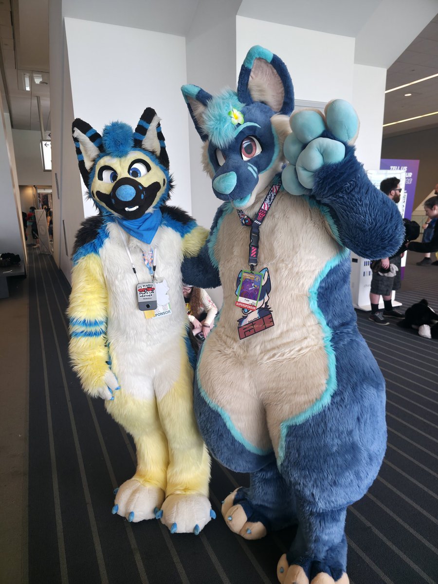 Fuze_Husky tweet media