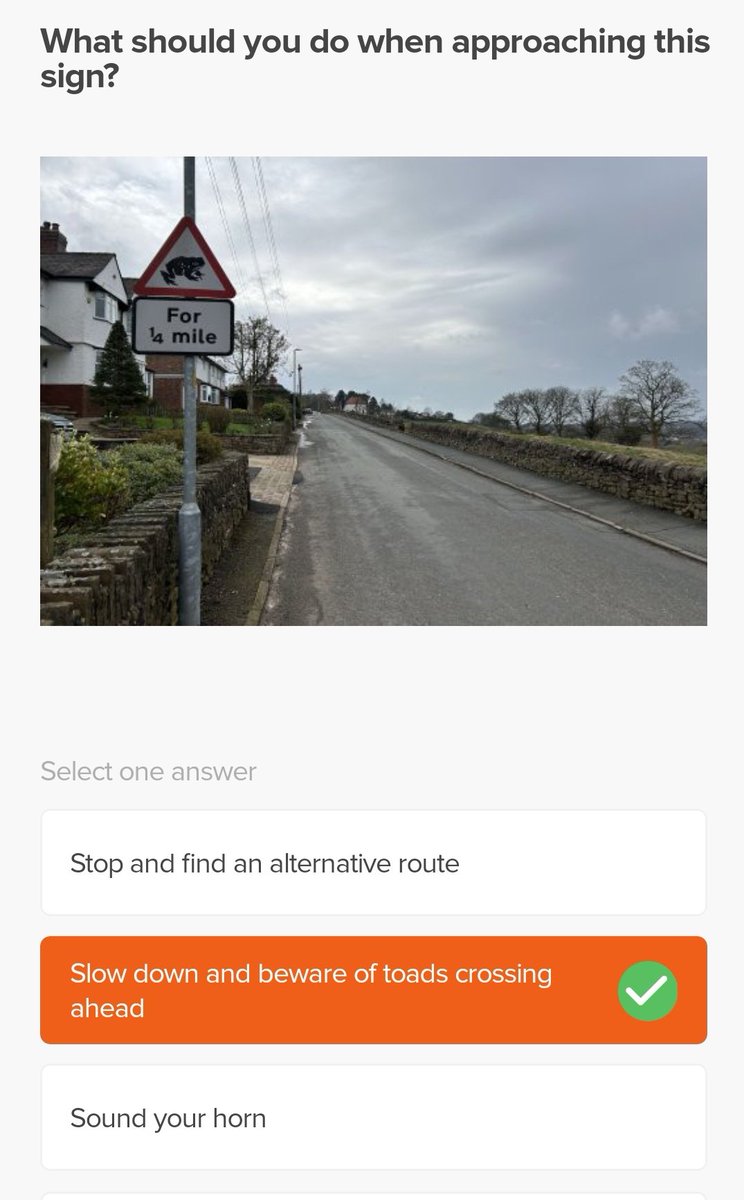 Ngl id be pissed the hell off if I got taken out by a toad when im driving