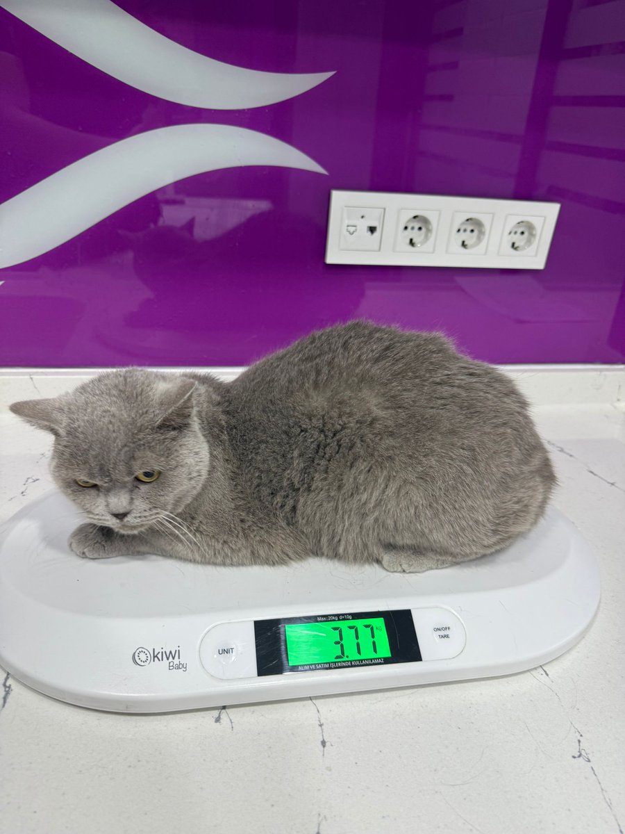 Bugün iğnemi olamıyorum destek gelmiyor, bunca emek boşa gitmesin 1 şişe ilacı 2 gün kullanabiliyor, böyle güzel iyileşme gostermisken onu tekrar ağrılara terk etmeyelim.