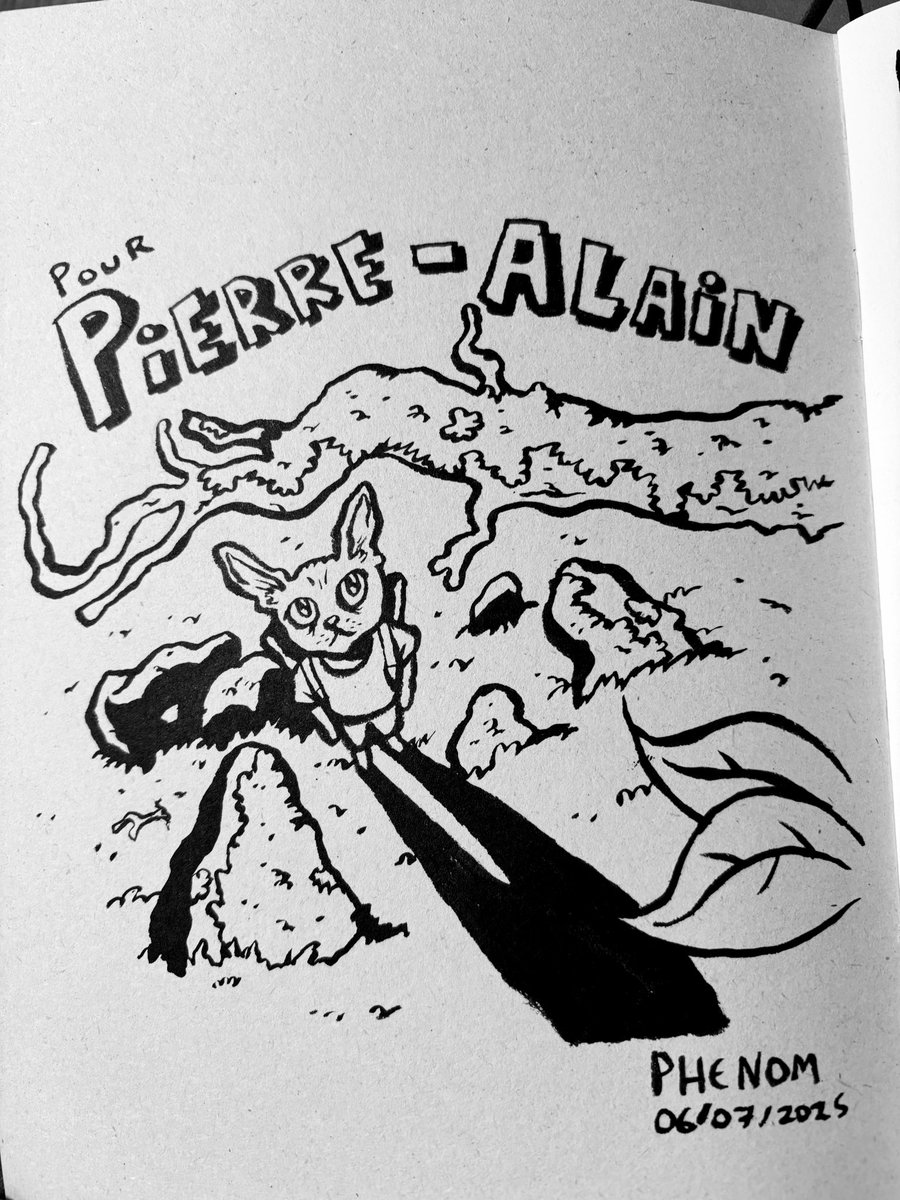 Merci <a href="/DaFeenom/">TheFrenchPhenom</a>, il est incroyable 🩵 !