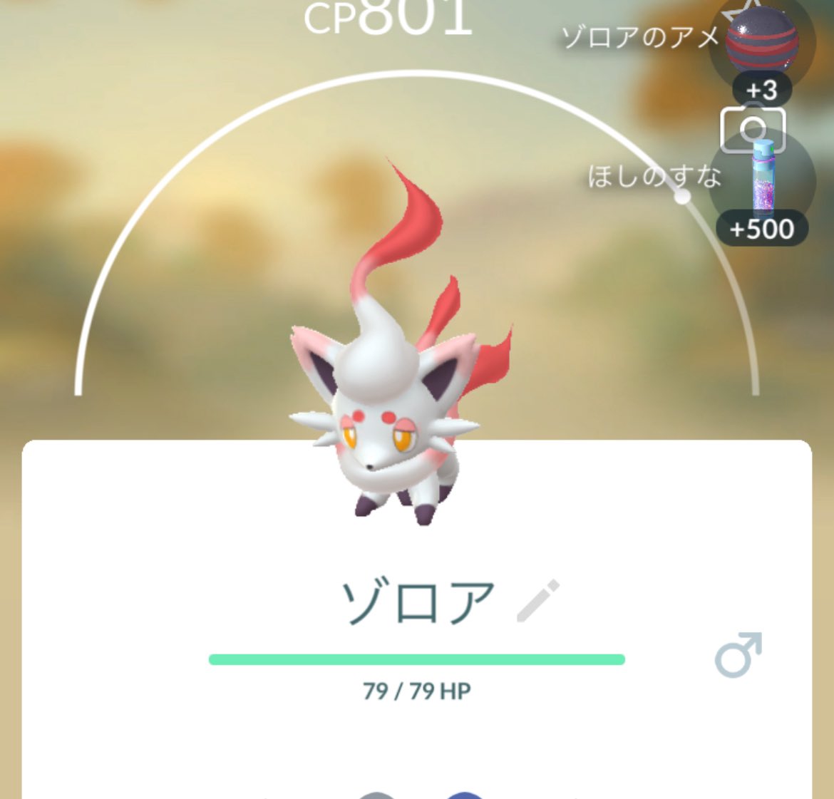 Algenib88's tweet photo. ゾロア可愛い〜 https://t.co/3vQ1s3jwZ3