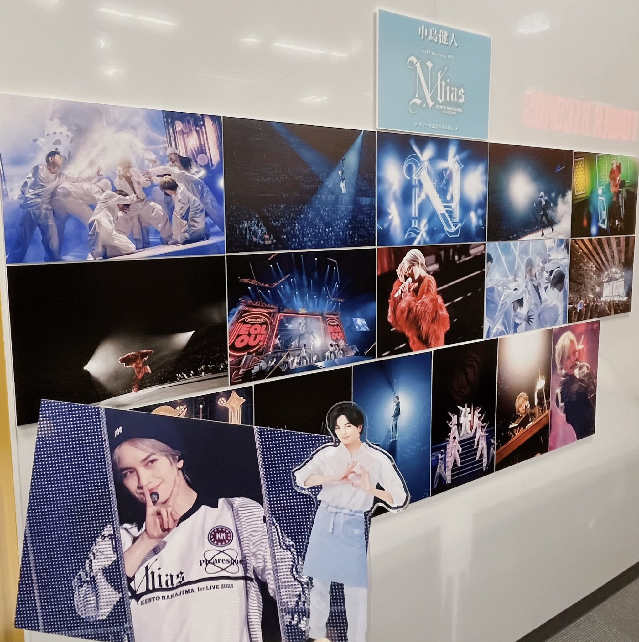 春*秋様 ViViD パネル ( タワレコ当選品 ) 春*秋様 ViViD パネル ( タワレコ当選品 ) 春*秋様 ViViD パネル