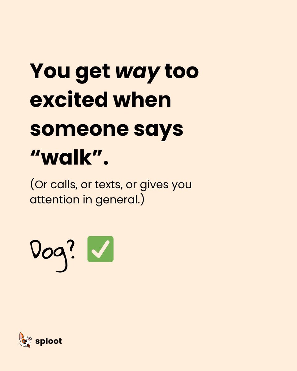 wesploot's tweet image. Are you a dog?