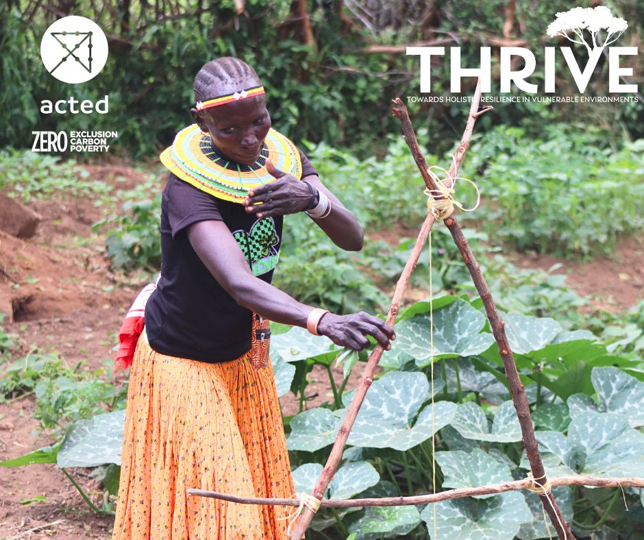 acted_kenya's tweet photo. THRIVE - Acted recently had the privilege to host our funding partners on site for our landscape restoration, climate-smart agriculture and economic empowerment project in Alale, West Pokot, in collaboration with @DLCI_Kenya  and Africa Rangelands. Here are some moments! 📸 https://t.co/NDqQm1QZAi