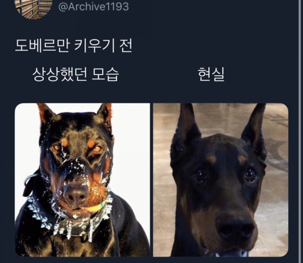 힝거 tweet media