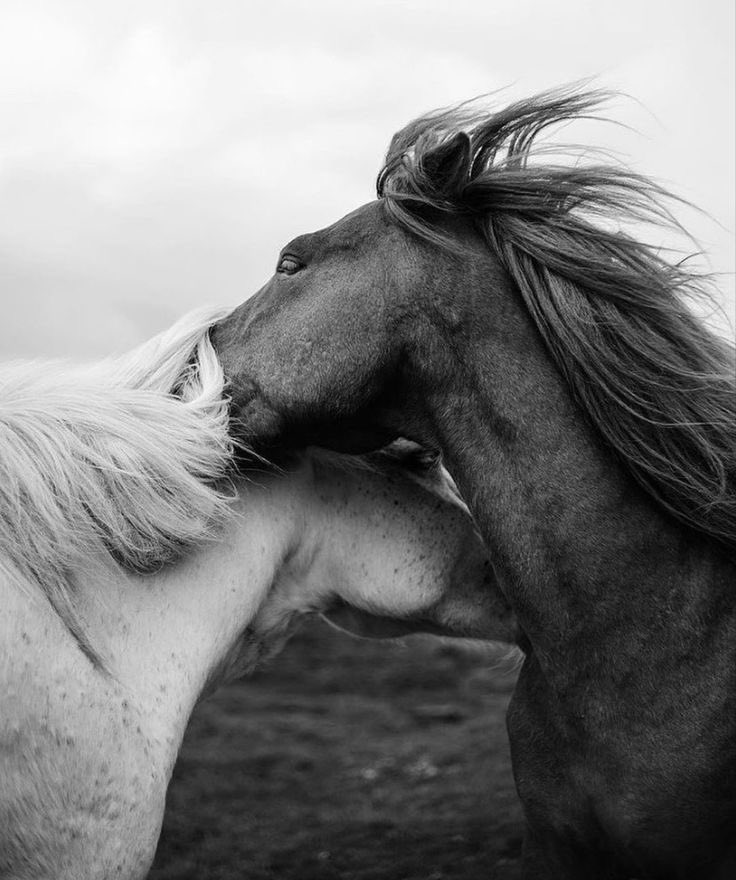 REX (@rexchillect) on Twitter photo 