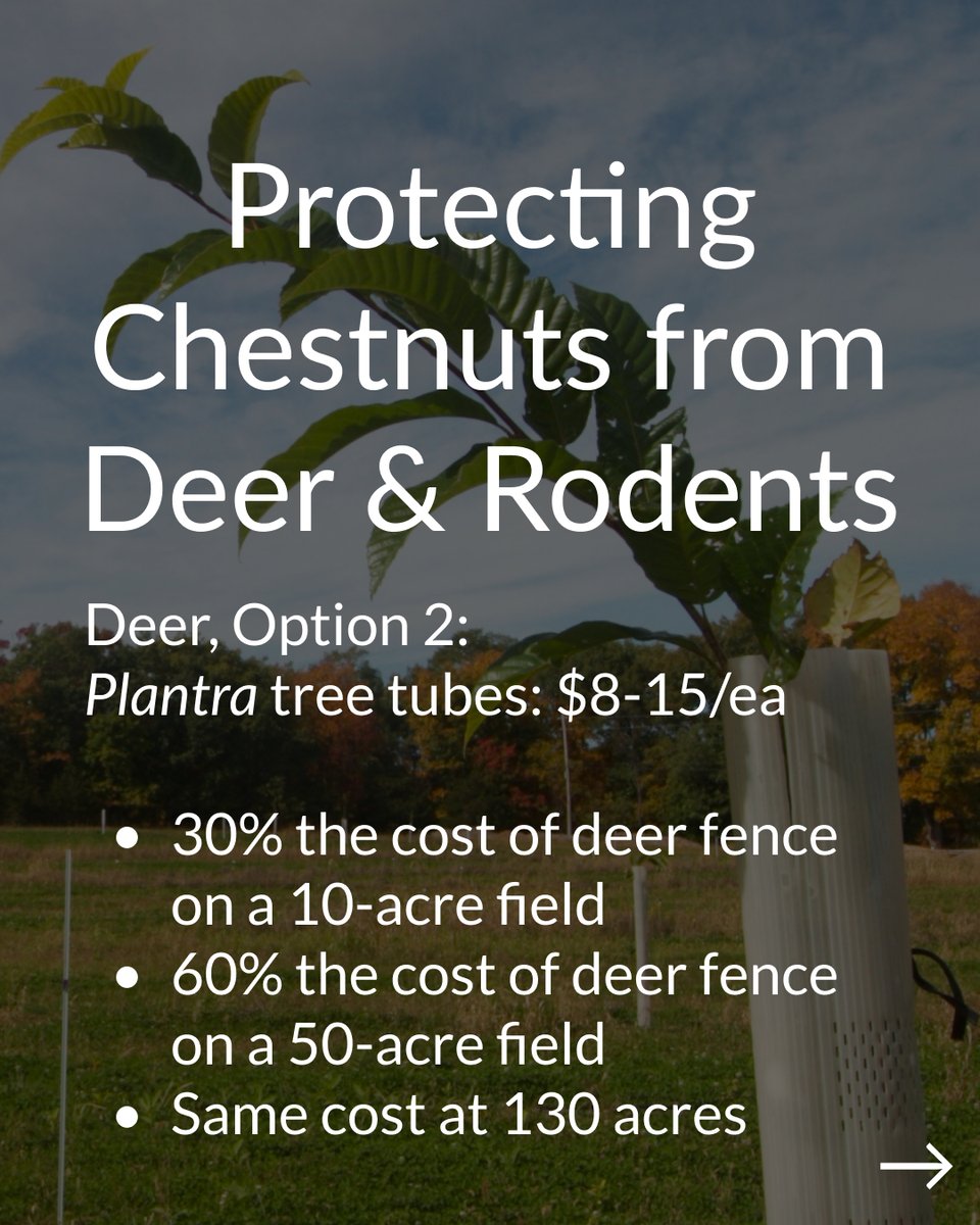 Propagate tweet media