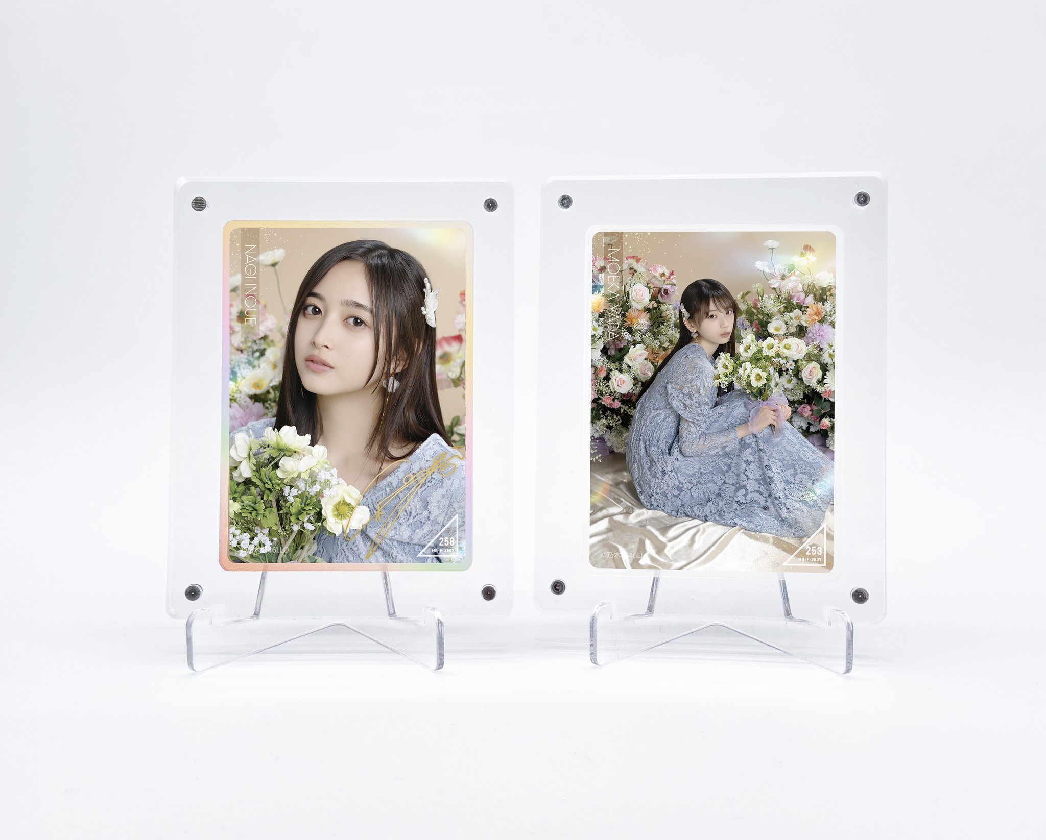 乃木坂46 推しどこ 8点セット 乃木坂46 推しどこ 8点セット