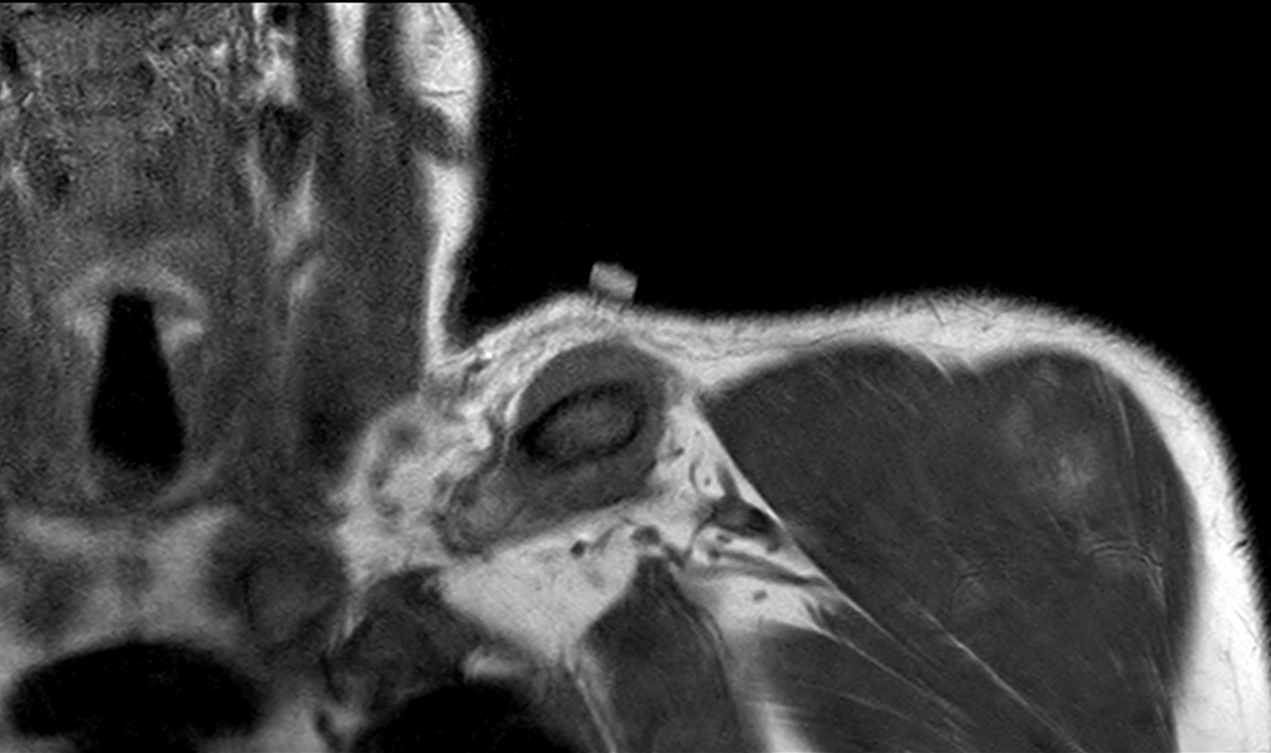 MSK Teaching Room tweet media