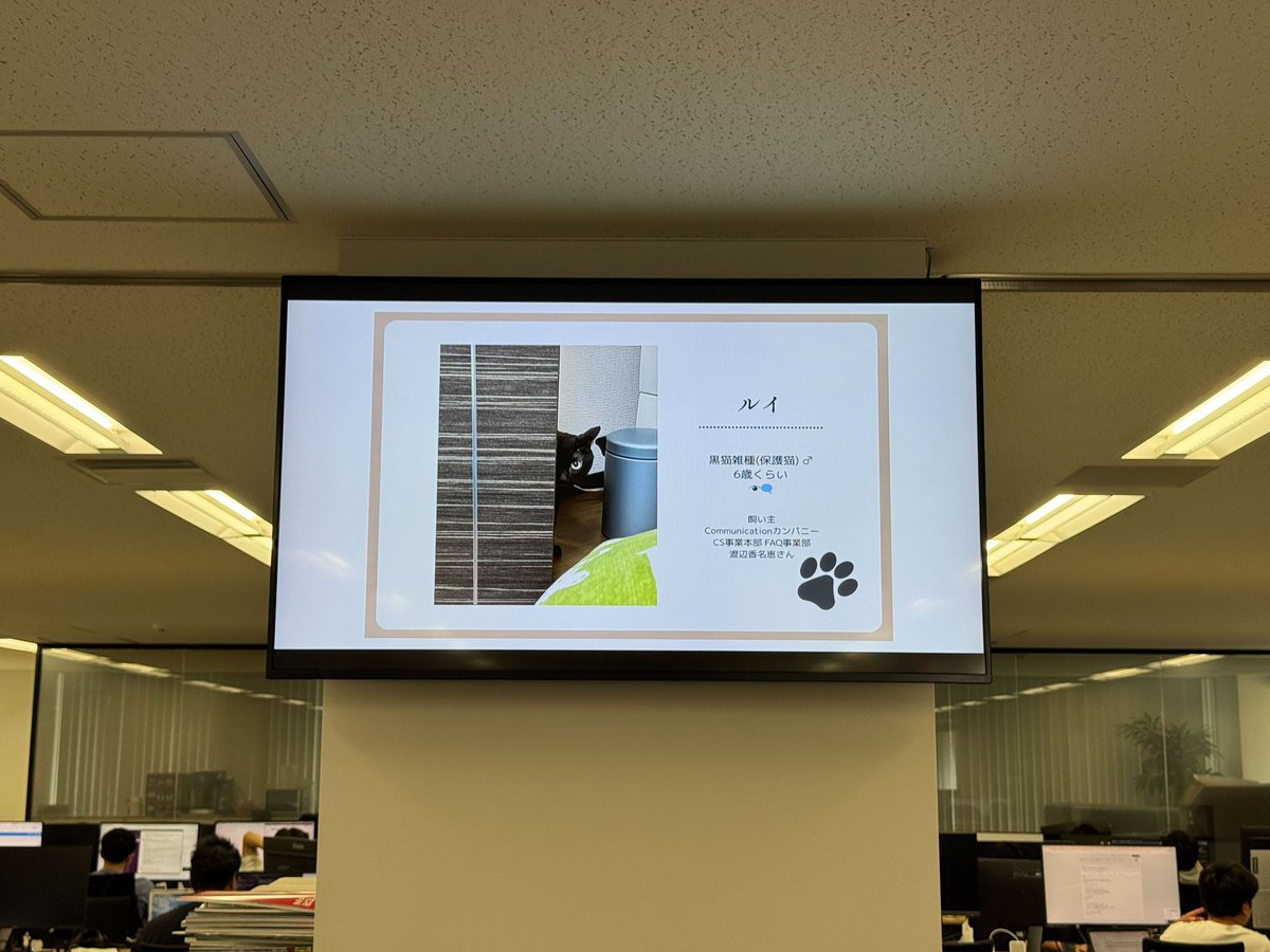 オフィスに来たら

KPI数値管理のための社内Displayが許可なく

社員の「猫写真展」にジャックされていた…

何かしらの声なきメッセージだろうか…