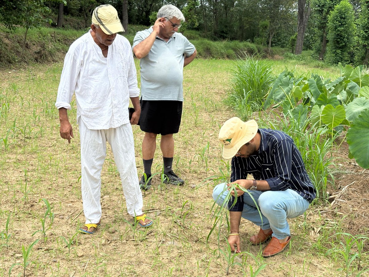 kvkbilaspurhp (@kvkbilaspurhp1) on Twitter photo Field diagnosis of weed infestation and early Spodoptera frugiperda (fall armyworm) damage in maize
<a href="/atari1icar/">ICAR-ATARI, Ludhiana</a> <a href="/HPAUbest/">CSK H.P.Agriculture University</a> <a href="/icarindia/">Indian Council of Agricultural Research.</a> Field diagnosis of weed infestation and early Spodoptera frugiperda (fall armyworm) damage in maize
<a href="/atari1icar/">ICAR-ATARI, Ludhiana</a> <a href="/HPAUbest/">CSK H.P.Agriculture University</a> <a href="/icarindia/">Indian Council of Agricultural Research.</a>