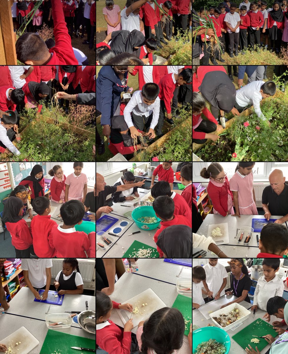 Yr3: Wow what a super productive day we’ve had harvesting all the vegetables we planted…and then a BIG Cook Off to enjoy all our hard work! #Sustainability #SavingthePlanet #LifeSkills #ThankYouMartin #FutureReady