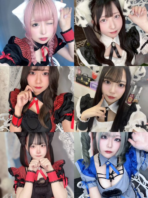 わんわんPRIMOのツイート